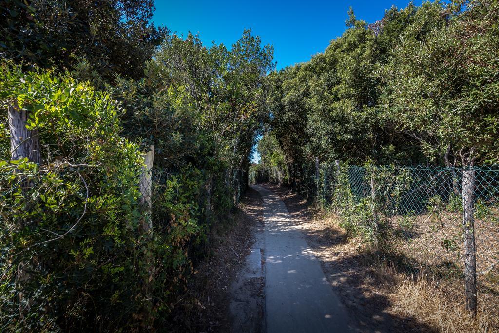 Camping Internazionale Etruria Castiglione della Pescaia Bagian luar foto