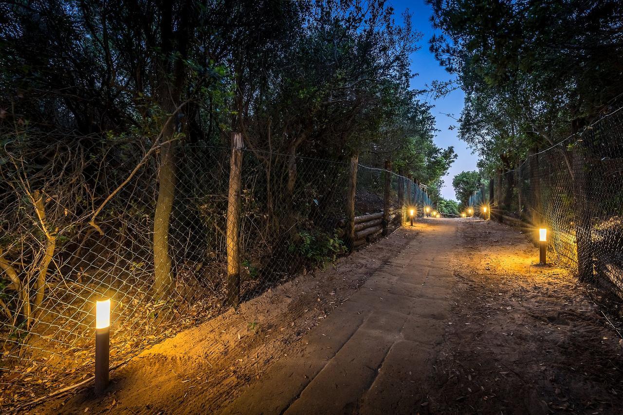 Camping Internazionale Etruria Castiglione della Pescaia Bagian luar foto